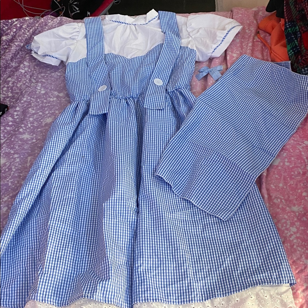 Dorothy from the wizard of oz costume. Halloween is right around the corner